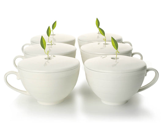 Cafe Cups - Set of Six