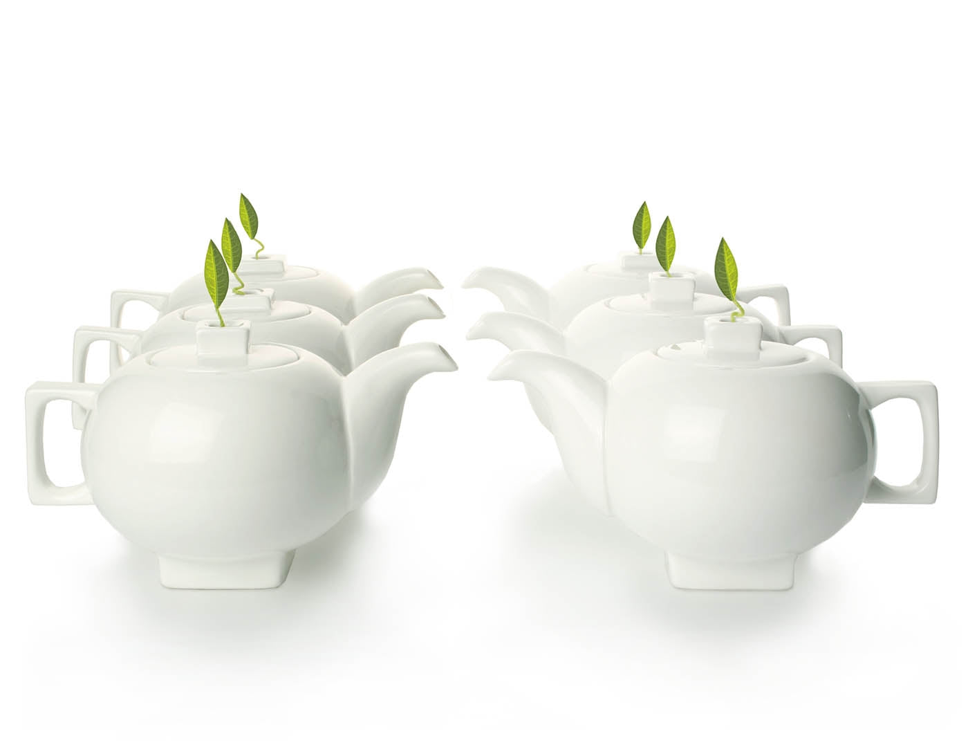 Solstice Teapot Bulk 6pk